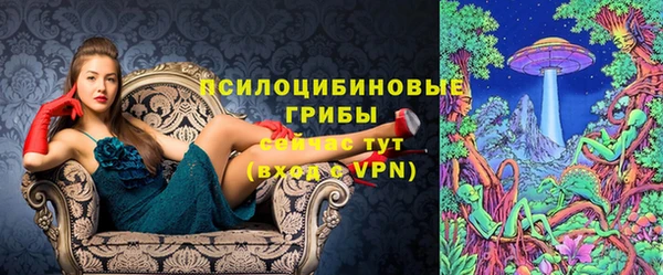 экстази Алексеевка