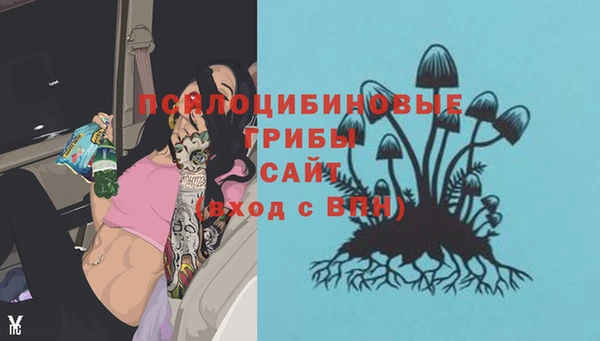 экстази Алексеевка