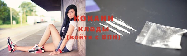спайс Алзамай