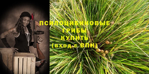 спайс Алзамай