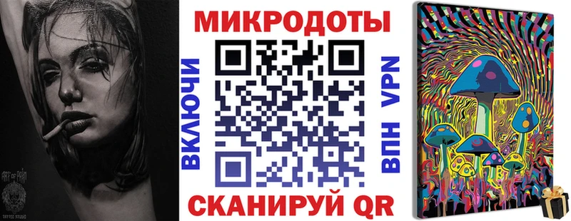 Псилоцибиновые грибы Psilocybe  Александровское 