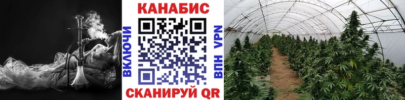 Шишки марихуана гибрид хочу Александровское